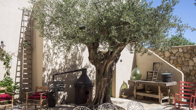 Sicilie-Zuid-Fontes-Episcopi-binnenplein-olijfboom