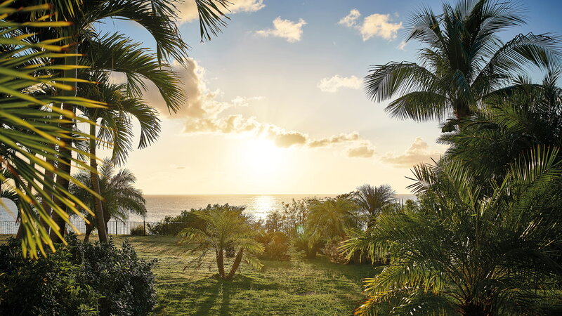 Sint-Maarten-Hotel-Belmond-La-Samanna-tropische-tuin