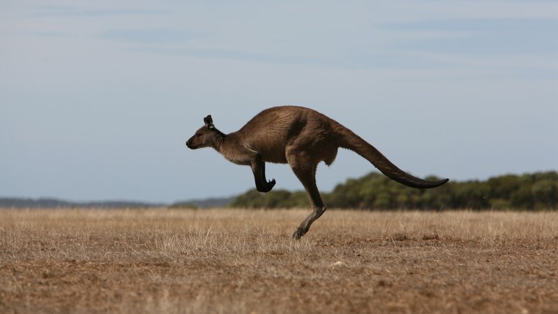 Southern-Ocean - Lodge Kangaroo Island - Australië (1)