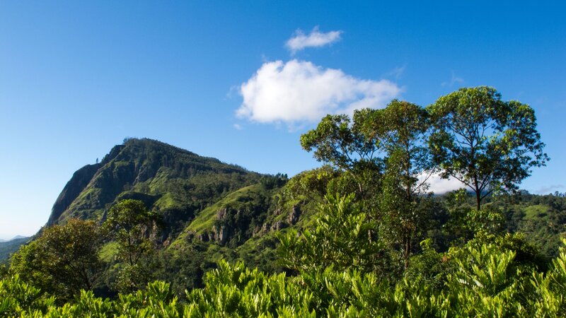 Sri Lanka-Ella-hoogtepunt-Little Adams Peak