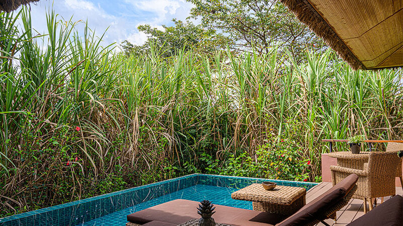 Sri-Lanka-Sigiriya-Hotel-Water-Garden-privézwembad