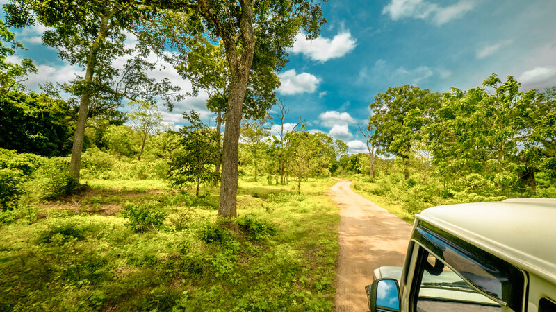 Sri-Lanka-Yala-Excursie-Safari-Yala-National-park 3