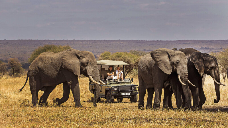 Tanzania-Lake-Manyara-Chem-Chem-Lodge-safari-olifanten-koppel-in-jeep