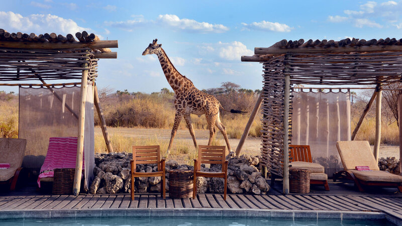 Tanzania-Lake-Manyara-Chem-Chem-Lodge-zwembad-giraf