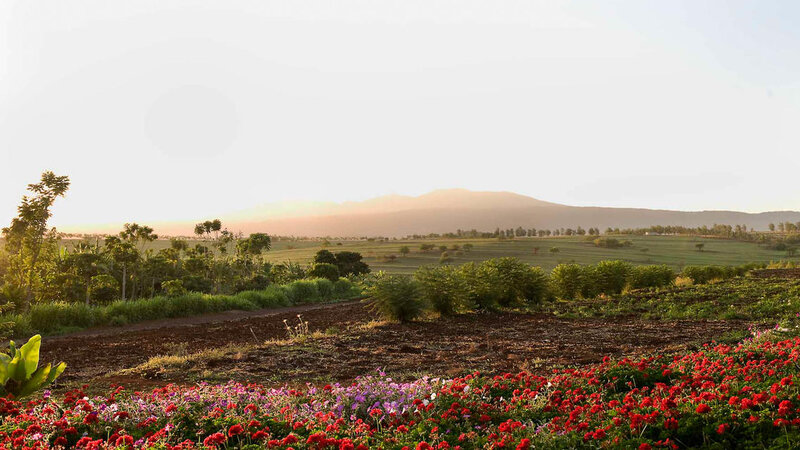 Tanzania-Ngorongoro-Farm House-omgeving