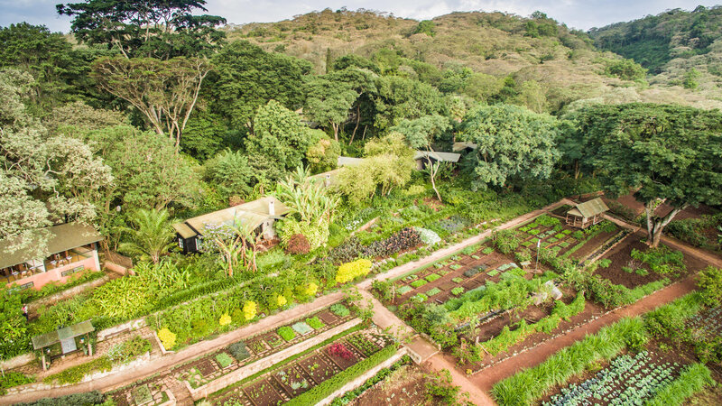 Tanzania-Ngorongoro-Gibb's-Farm-luchtfoto-groententuin