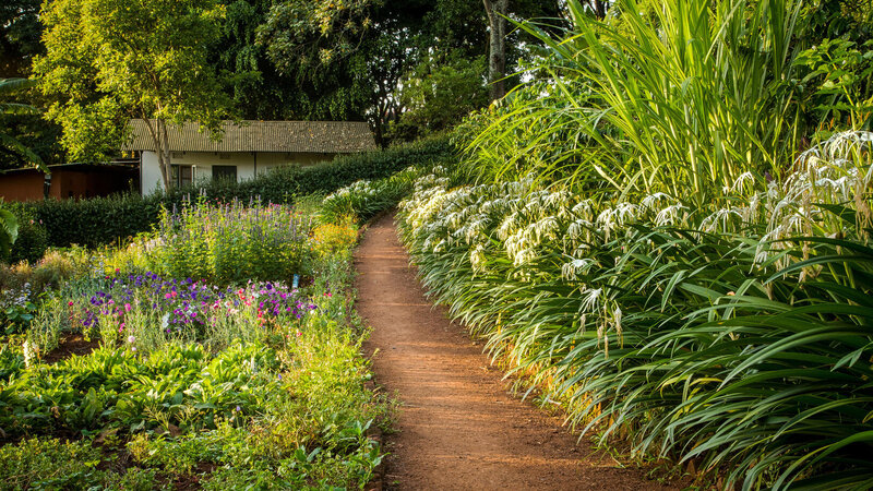 Tanzania-Ngorongoro-Gibbs-Farm-tuin