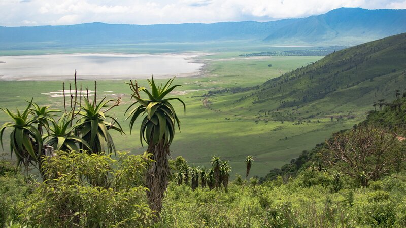 Tanzania-Ngorongoro krater