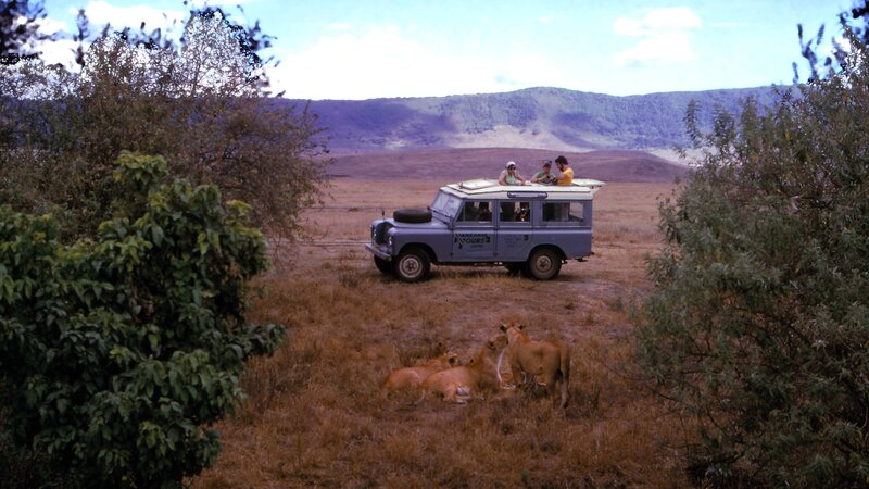 Tanzania-Ngorongoro krater-jeep