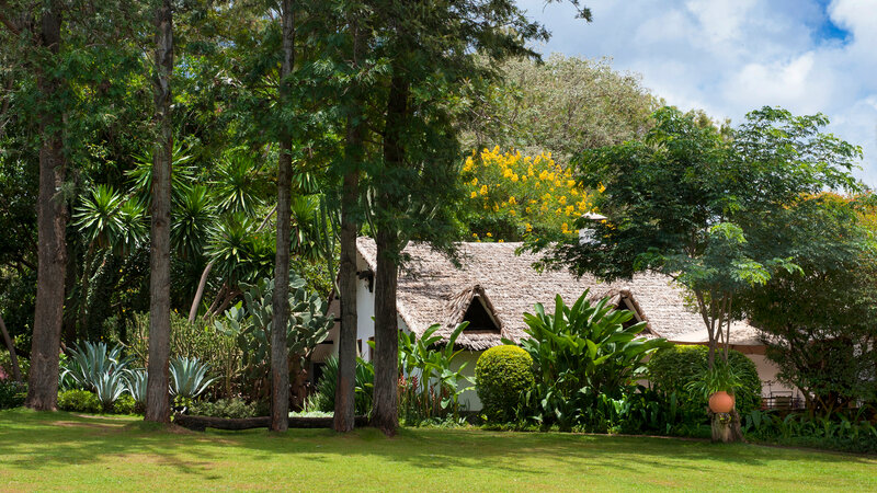 Tanzania-ngorongoro-The-Plantation-Lodge 1