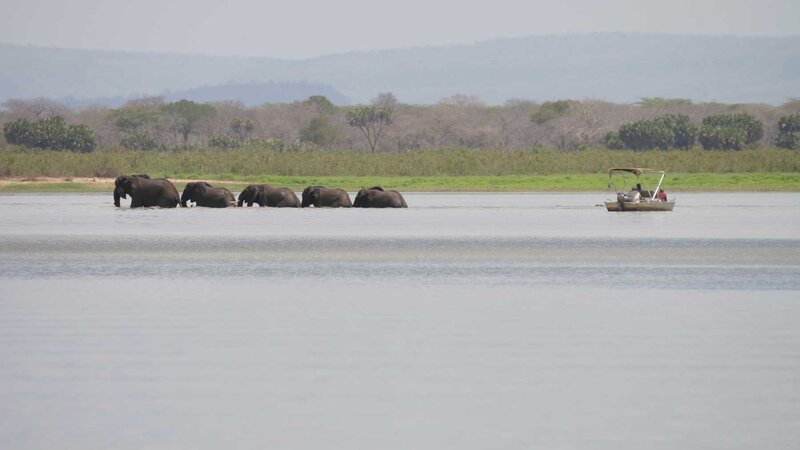 Tanzania-Nyerere-Siwandu Camp-bootsafari olifanten