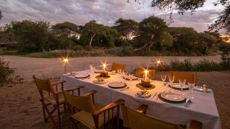 Tanzania-Ruaha NP-Jongomero Laba Laba (4)