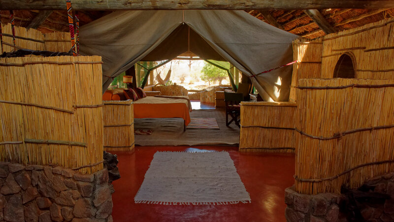 Tanzania-Ruaha NP-Mwagusi Camp-tent