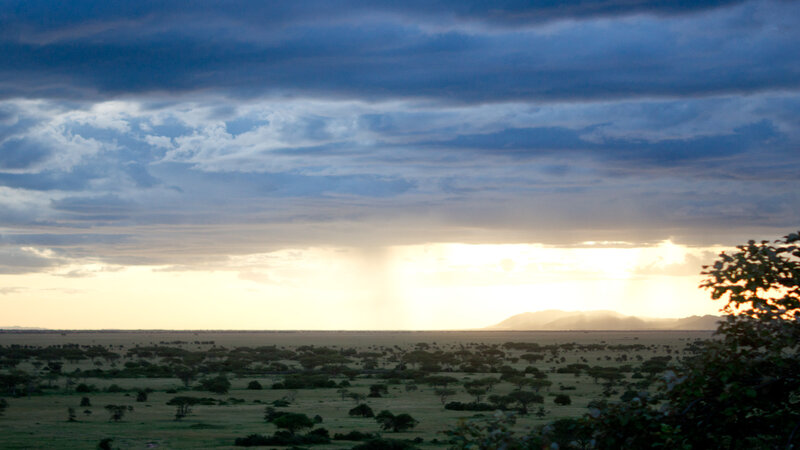 Tanzania-Serengeti-&beyond Grumeti, Tented Camp (25)