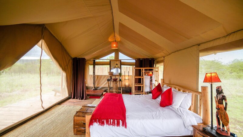 Tanzania-Serengeti NP-Asanja-Moru-tent-bed