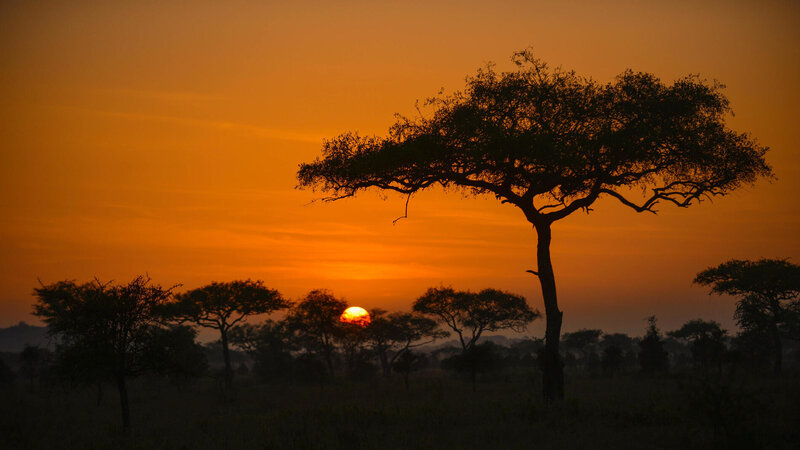 Tanzania-Serengeti NP-Asanja-Moru-zonsondergang-natuur