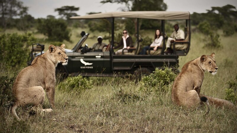 Tanzania-Serengeti NP-&Beyond-Kleins-Camp-safari-jeep-leeuwen