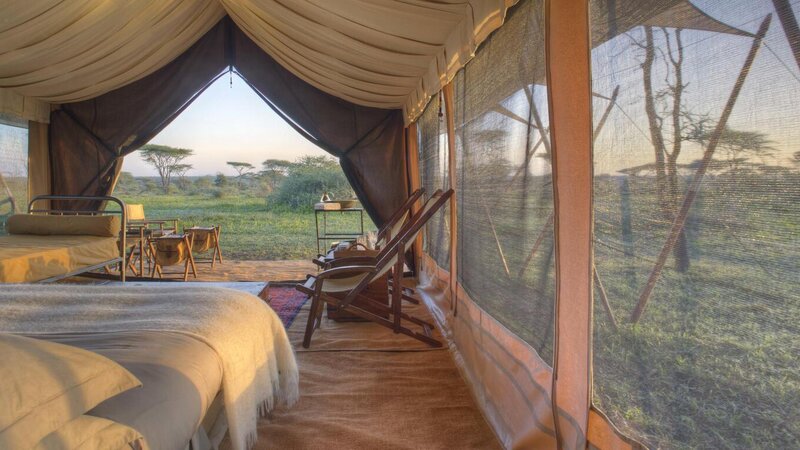 Tanzania-Serengeti NP-Beyond-Serengeti-Under-Canvas-tent-1