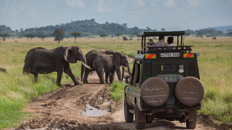 Tanzania-Serengeti NP-Elewana-Serengeti-Pioneer-Camp-safari-jeep-olifanten
