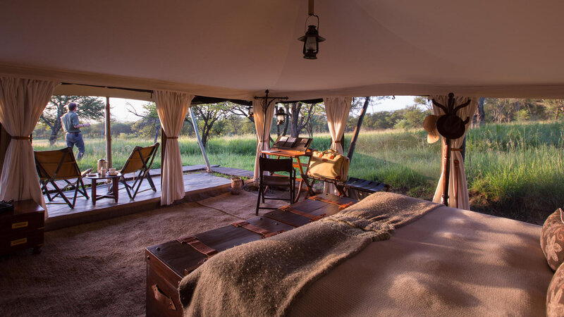 Tanzania-Serengeti NP-Elewana-Serengeti-Pioneer-Camp-tent-bed