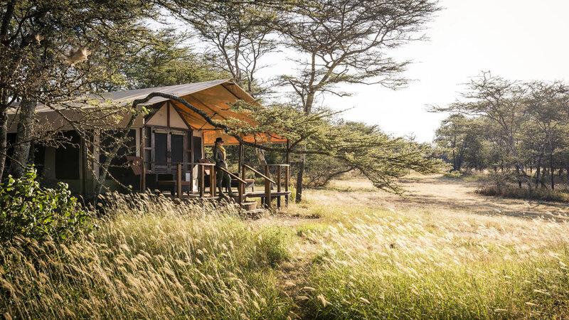 Tanzania-Serengeti NP-Sanctuary-Kusini-Camp-tent