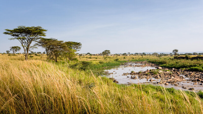Tanzania-Serengeti NP-Singita-Mara-River-Tented-Camp-natuur