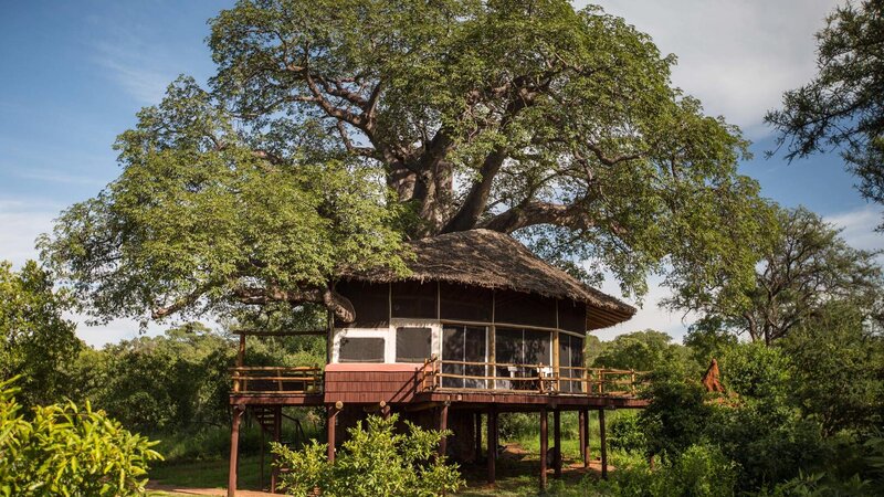 Tanzania-Tarangire-Elewana-Tarangire-Treetops 11