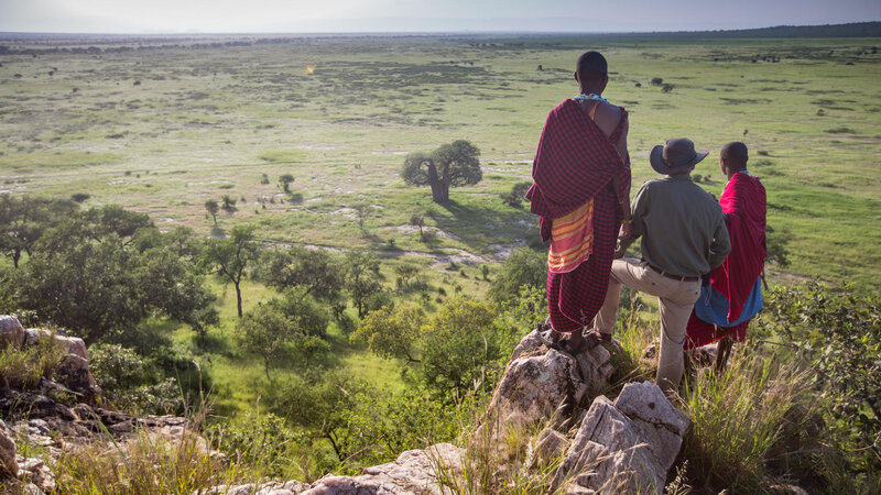 Tanzania-Tarangire-Elewana-Tarangire-Treetops (4)