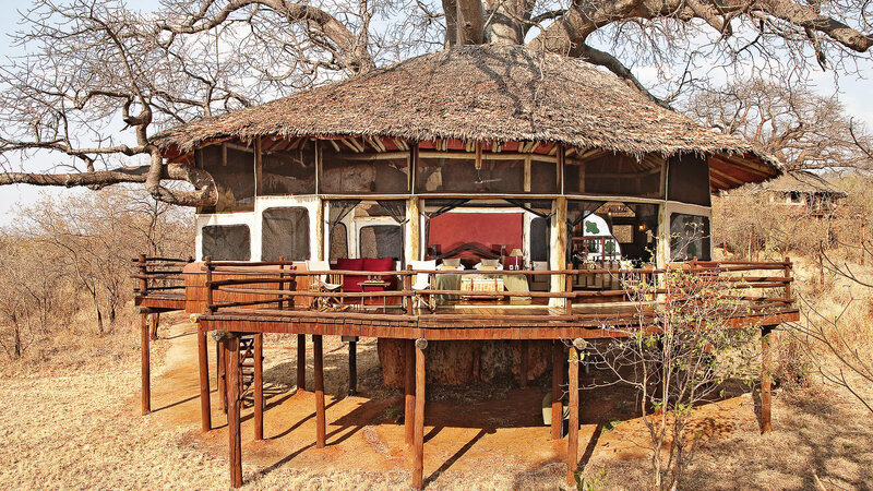 Tanzania-Tarangire-Elewana-Tarangire-Treetops (9)