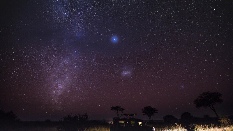 Tanzania-Tarangire-Elewana-Tarangire-Treetops-Night-Game-Drive