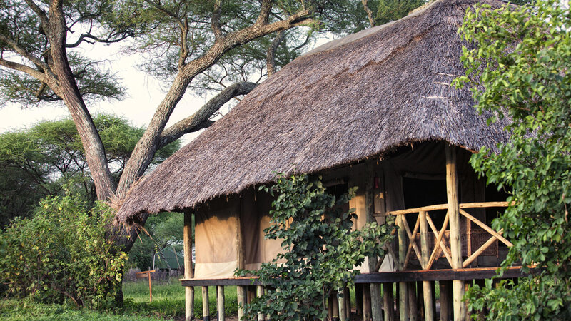 Tanzania-Tarangire-Mbali-Mbali-Tarangire-River-Camp-Safari-Tent