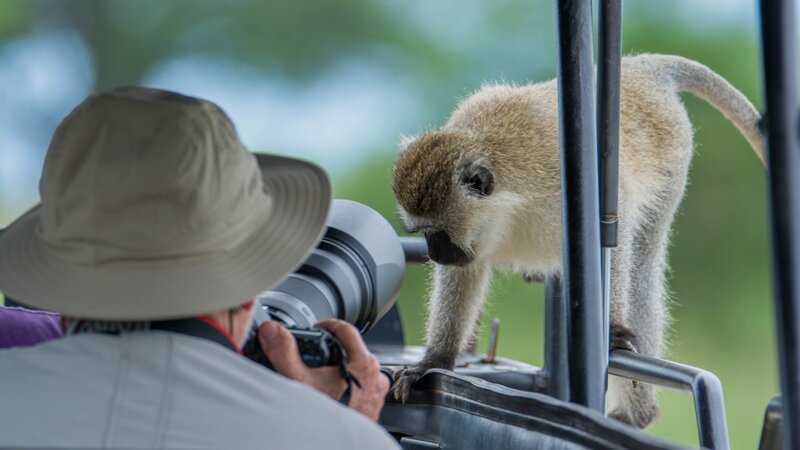 Tanzania-Tarangire NP-aap