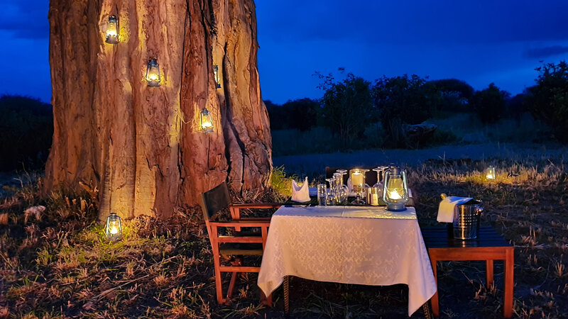 Tanzania-Tarangire-NP-Tarangire-Kuro-Treetops-Lodge-romantisch-bush-diner