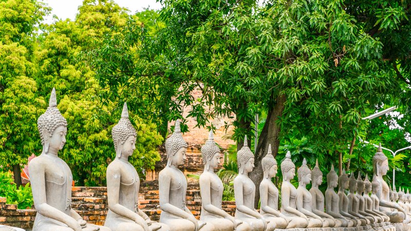 Thailand- Ayutthaya (10)