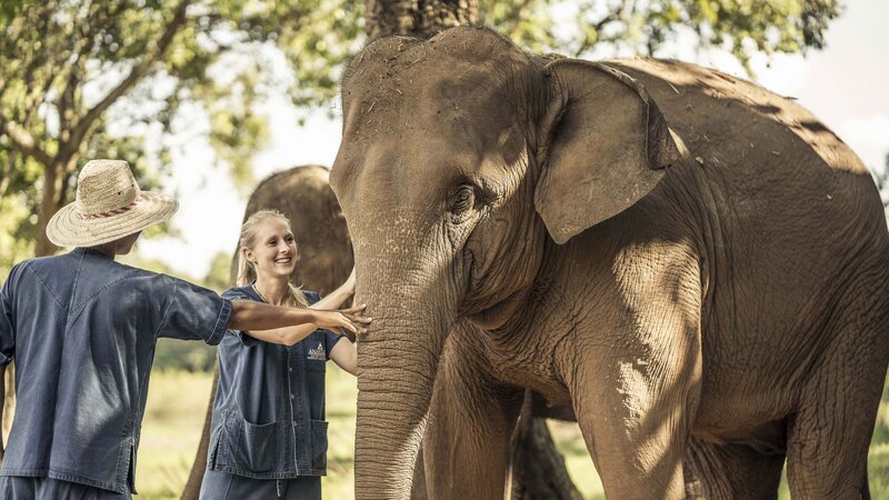 Thailand - Chiang Rai - Anantara Golden Triangle Elephant Camp & Resort (7)