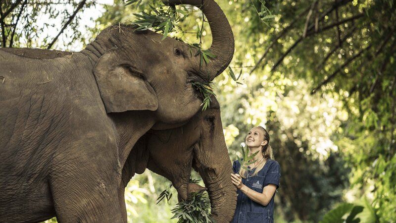 Thailand - Chiang Rai - Anantara Golden Triangle Elephant Camp & Resort (8)