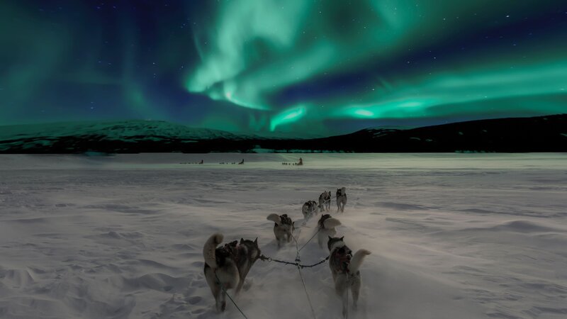 Lapland Noorderlicht