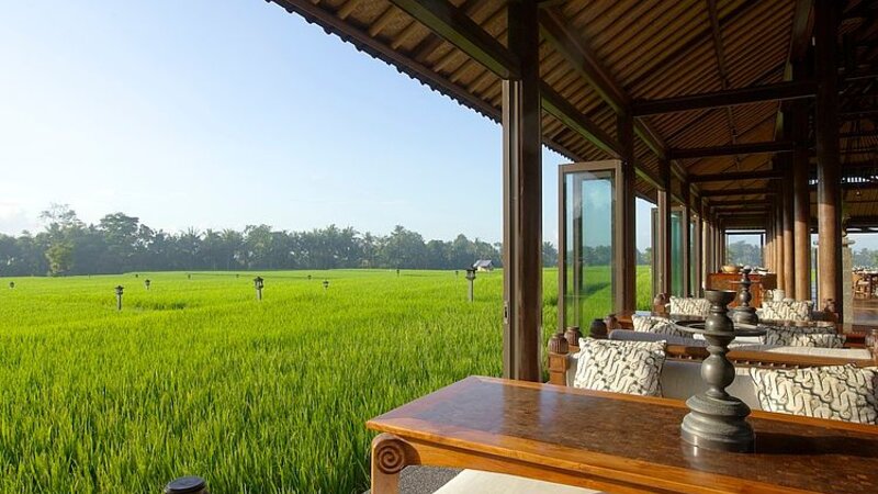 Ubud-Tanah-Gajah-restaurant-met-uitzicht