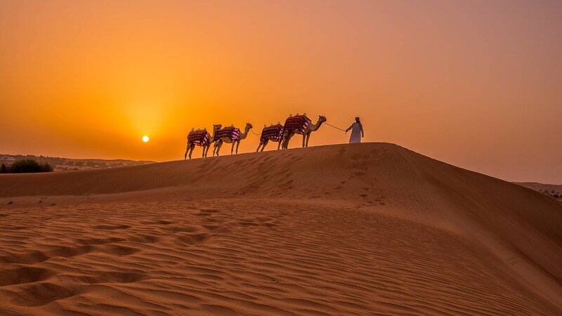 VAE-woestijn-Al Maha Desert Resort-activiteiten kamelentrek