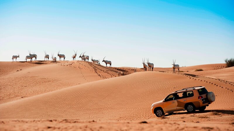 VAE-woestijn-Al Maha Desert Resort-activiteiten woestijnsafari