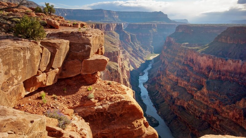 Verenigde staten - USA - VS - Arizona - Grand Canyon (2)