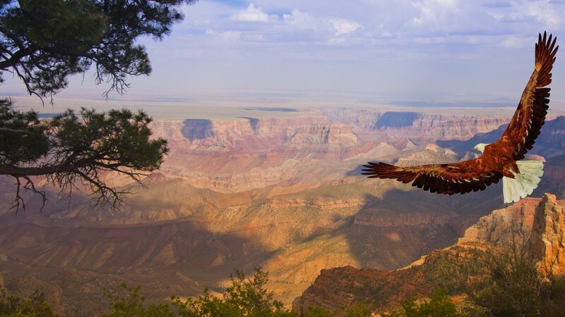 Verenigde staten - USA - VS - Arizona - Grand Canyon (3)