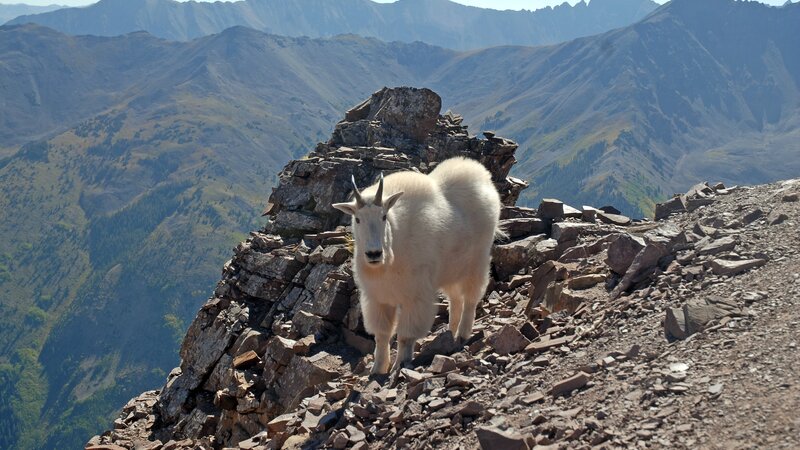 Verenigde staten - USA - VS - Colorado - Rocky Mountains National Park (7)