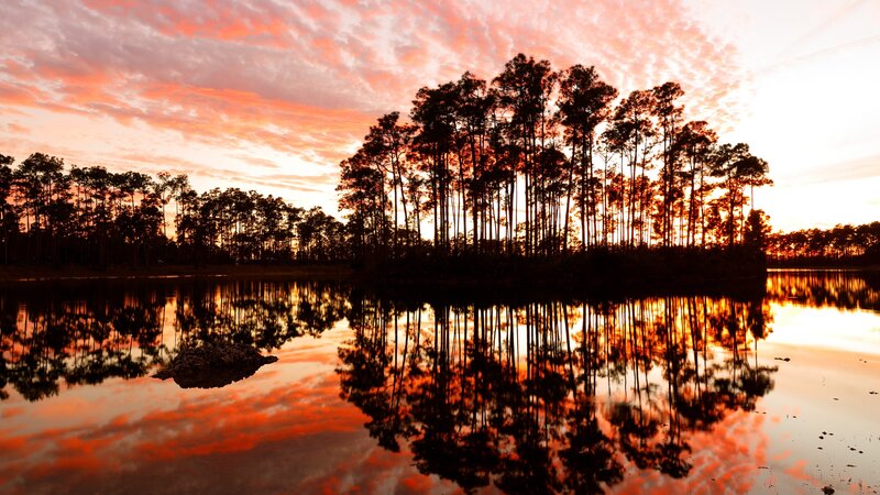Verenigde staten - USA - VS - Everglades National Park (6)