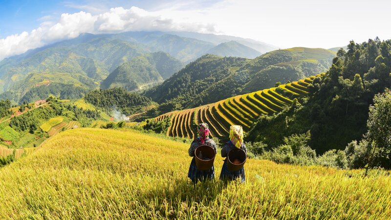 Vietnam-algemeen-rijstvelden en volk