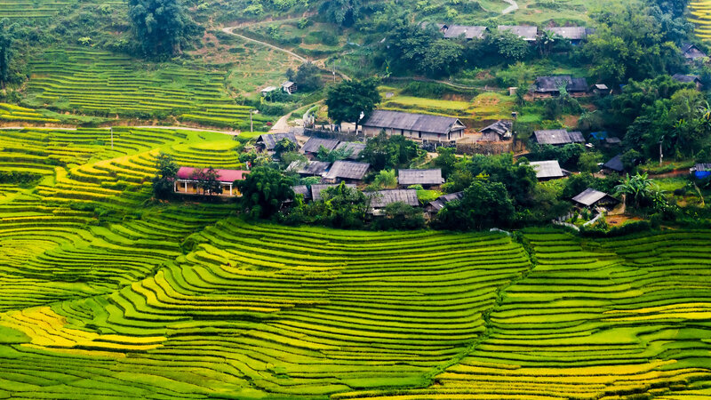 Vietnam-algemeen-uitzicht rijstveld en dorpje