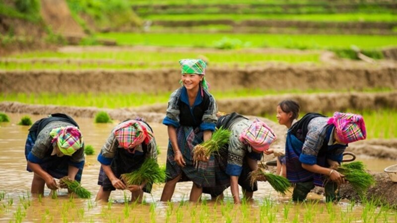 Vietnam-Sapa-Bouwsteen-Colourful-Ethnic-Culture-Sapa-4