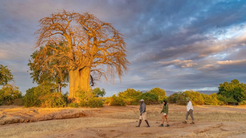 Wandelsafari in Lower Zambezi Park 7