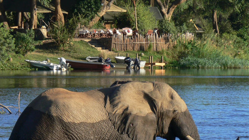 Zambia-Lower-Zambezi-Chongwe-River-Camp-visitors2