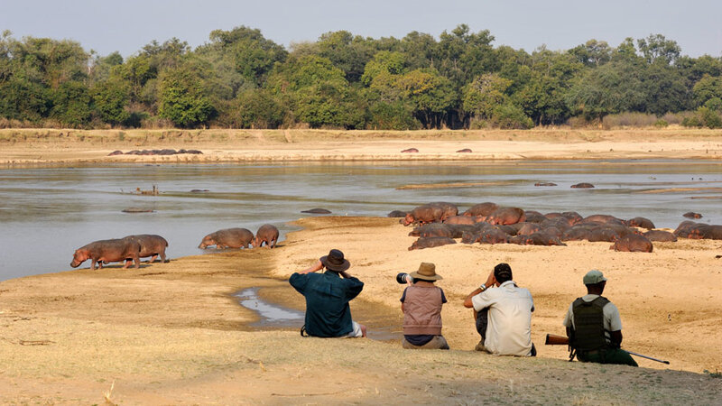 Amazing Wildernis in Zambia met z'n twee